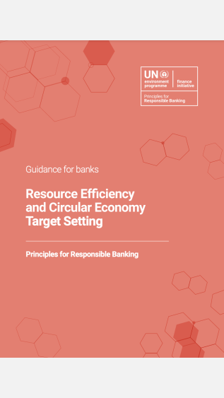 Resource-Efficiency-and-Circular-Economy-Target-Setting.png