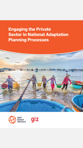 Engaging the Private Sector in National Adaptation Planning Processes