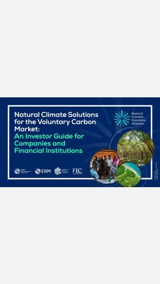 Nature climate solutions