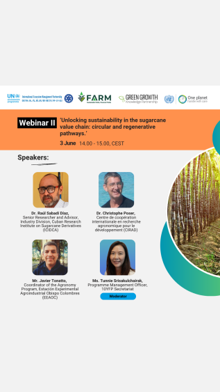 Unlocking sustainability in the sugarcane value chain – circular and regenerative pathways