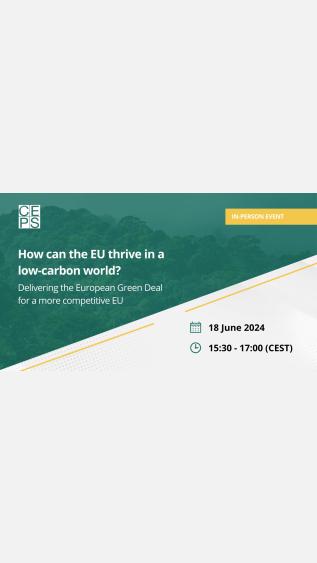 EU thrive in a low-carbon world