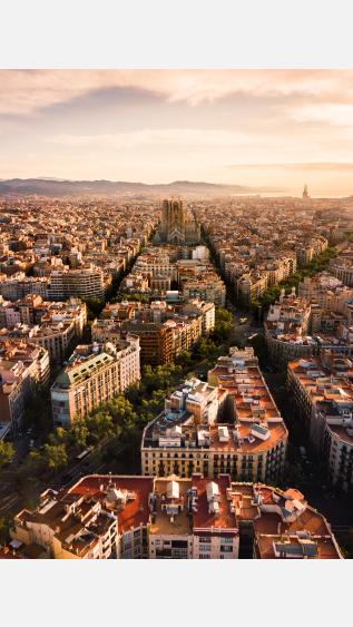 Photo by Alfons Taekema on Unsplash