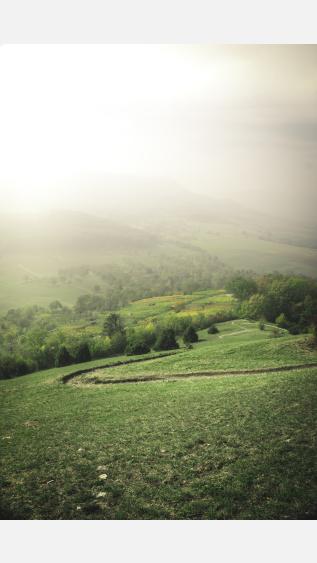 Photo by NICO BHLR on Unsplash