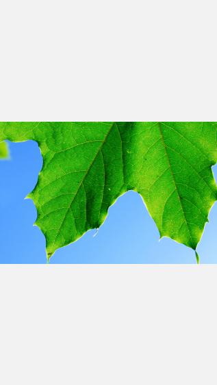 Photo by Anthony Rossbach on Unsplash