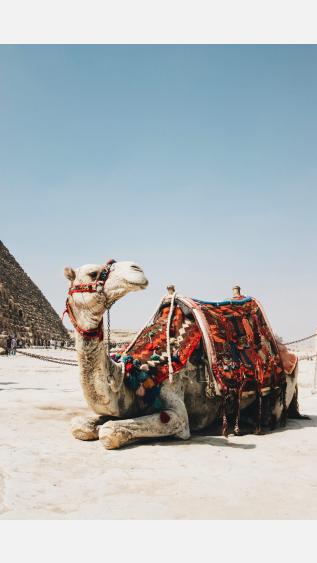 Photo by Isabella JuskovÃ¡ on Unsplash