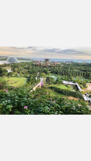 Photo by R z on Unsplash