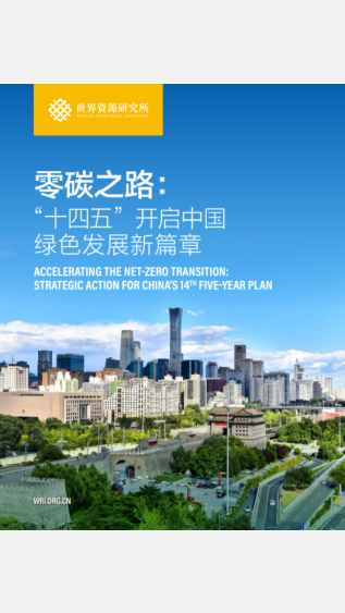 Accelerating the Net-Zero Transition_WRI.png