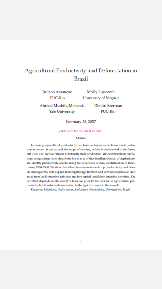 Agricultural Productivity and Deforestation in Brazil