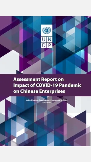 Assessment Report on Impact of COVID-19 Pandemic on Chinese Enterprises_UNDP.jpg