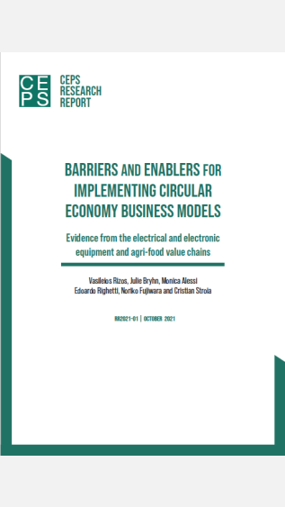 Barriers and enablers for implementing circular economy business models