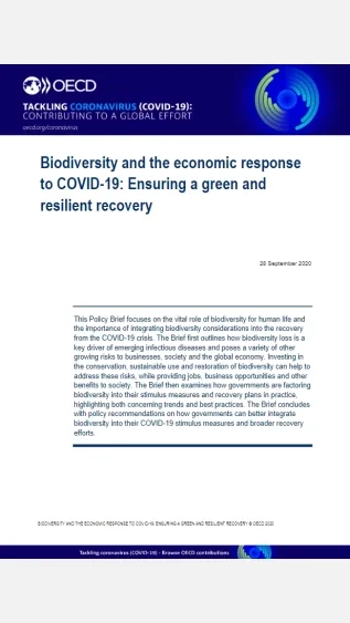 Biodiversity and the Economic Response to COVID-19_OECD.jpg