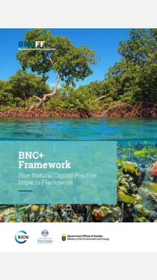 Blue Natural Capital Positive Impacts Framework_BNCFF.jpg