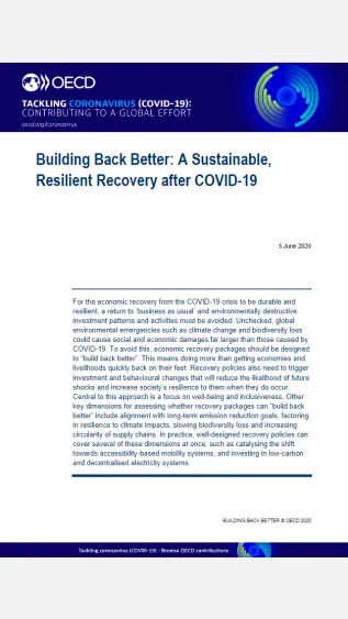 Building back better _ OECD.png