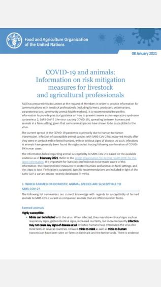 COVID-19 and animals Information on risk mitigation measures for livestock and agricultural professionals_FAO.JPG