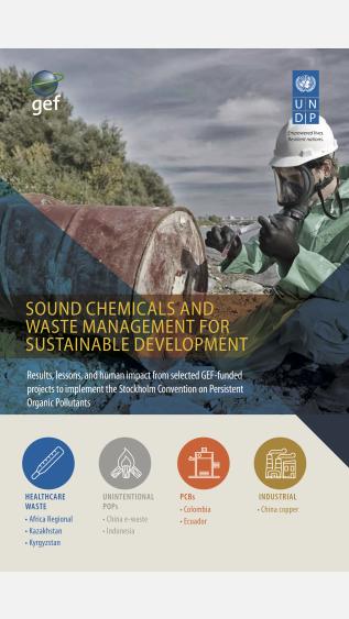Chemicals & Waste Management for Sustainable Development2019-DigitalVersion.jpg