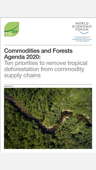 Commodities and Forests Agenda 2020