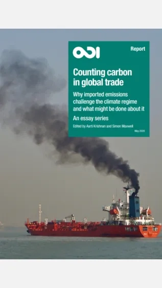 Counting Carbon in Global Trade _ODI.jpg