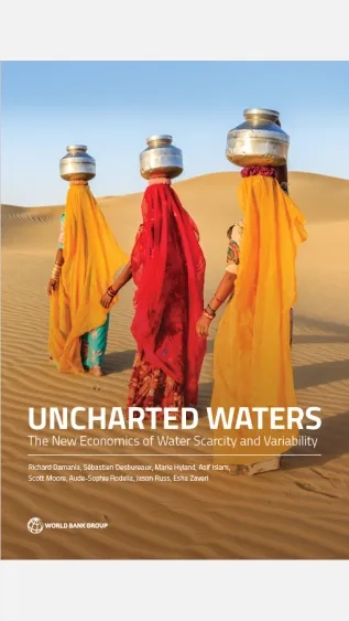 Uncharted Waters: The New Economics of Water Scarcity and Variability