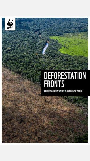 Deforestation Fronts - Drivers and Responses in a Changing World_WWF.JPG