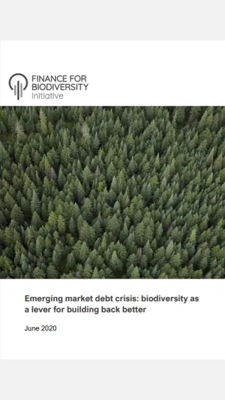 Emerging Market Debt Crisis_F4B.jpg