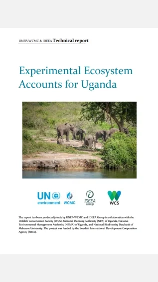 Experimental Ecosystem Accounts for Uganda