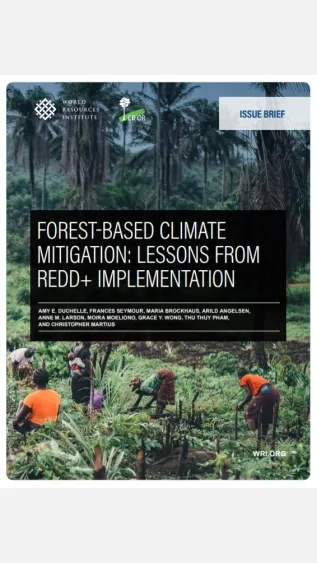 Forest-Based Climate Mitigation_WRI.jpg