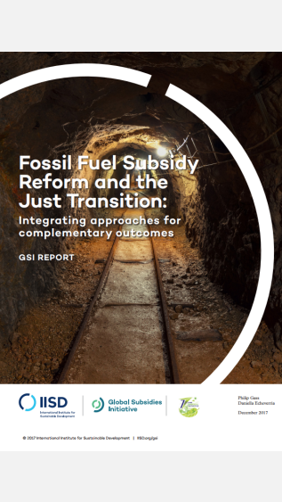 Fossil Fuel Subsidy Reform and the Just Transition