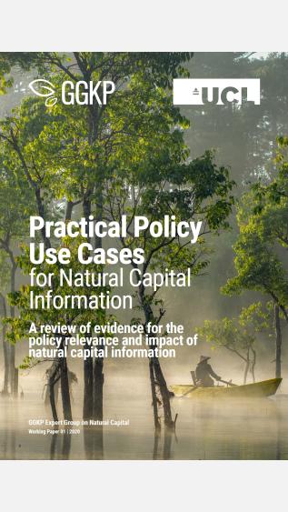 Photo by Justin Kauffman on Unsplash