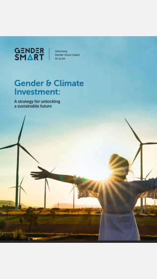 GenderSmart_gender-&-climate-investment.PNG