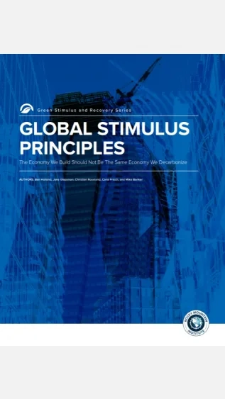 Global Stimulus Principles_RMI.jpg
