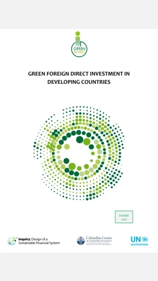 Green Foreign Direct Investment in Developing Countries