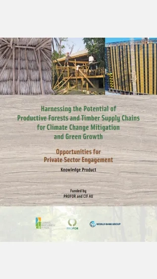 Harnessing the Potential of Productive Forests