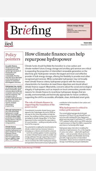 IIED Policy Brief.JPG