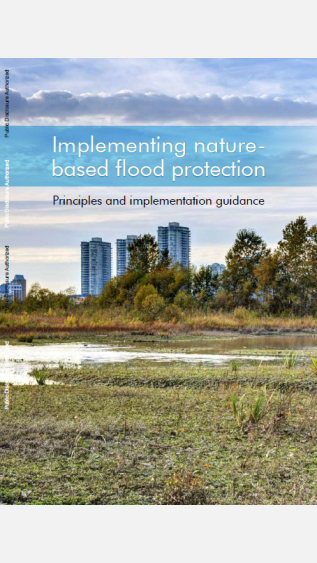 Implementing Nature-Based Flood Protection_Principles and implementation guidance