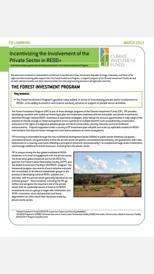 Incentivizing the Involvement of the Private Sector in REDD+