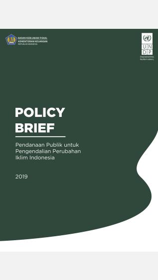 Cover_of_Indonesia_Policy_Brief_UNDP