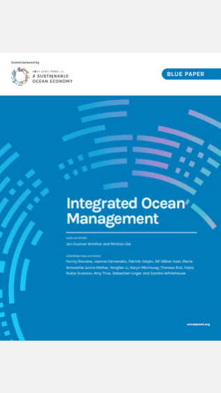 Integrated Ocean Panel_HLP.png