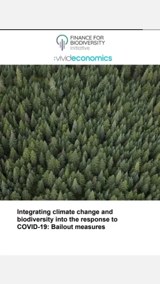 Integrating climate change and biodiversity into the response to COVID-19_F4B.jpg