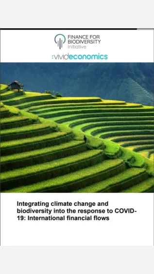 Integrating climate change and biodiversity into the response to COVID-19_F4B.jpg