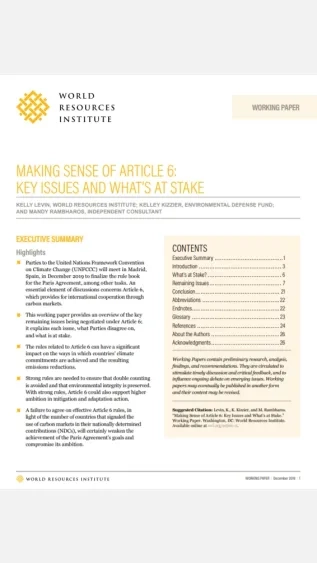 Making Sense of Article 6_WRI.jpg