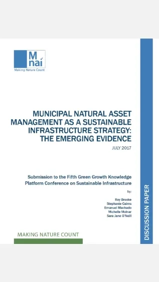 Municipal Natural Asset Management as a Sustainable Infrastructure Strategy_The Emerging Evidence