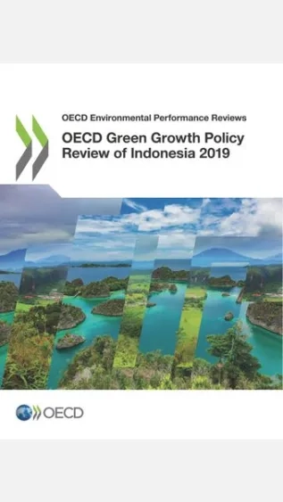 OECD Green Growth Policy Review of Indonesia 2019_OECD.jpg