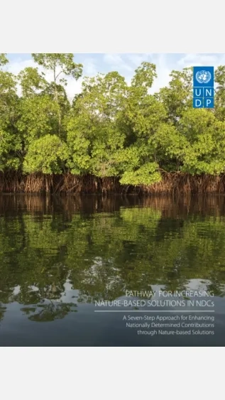 Pathway for Increasing Nature-based Solutions in the Nationally Determined Contributions_UNDP.jpg