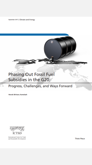 Phasing Out Fossil Fuel Subsidies in the G20_Progress, Challenges, and Ways Forward