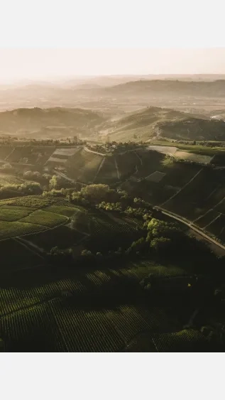 Photo by Kaspars Upmanis on Unsplash