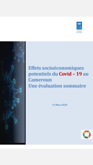 Potential Socioeconomic Effects of COVID-19 in Cameroon (French)_UNDP.jpg