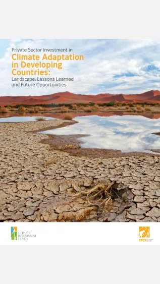 Private Sector Investment in Climate Adaptation in Developing Countries_Landscape, Lessons Learned and Future Opportunities