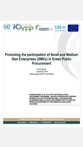 Promoting the Participation of Small and Medium Size Enterprises in Green Public Procurement.png
