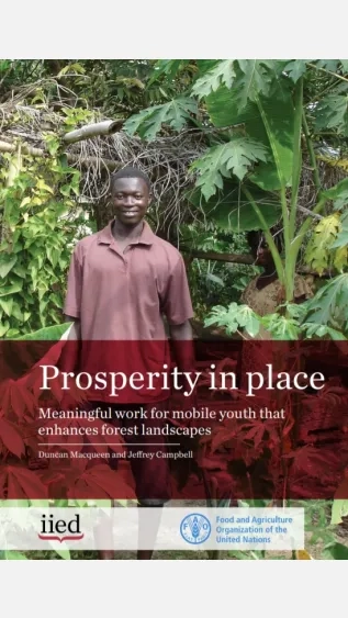 Prosperity in place Meaningful work for mobile youth that enhances forest landscapes_FAO.jpg