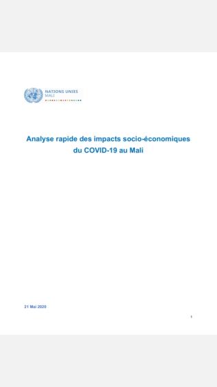 Rapid analysis of the socio-economic impacts of COVID-19 in Mali_UNDP.jpg